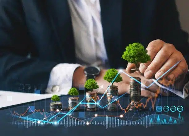 CURSO DE SOSTENIBILIDAD EMPRESARIAL